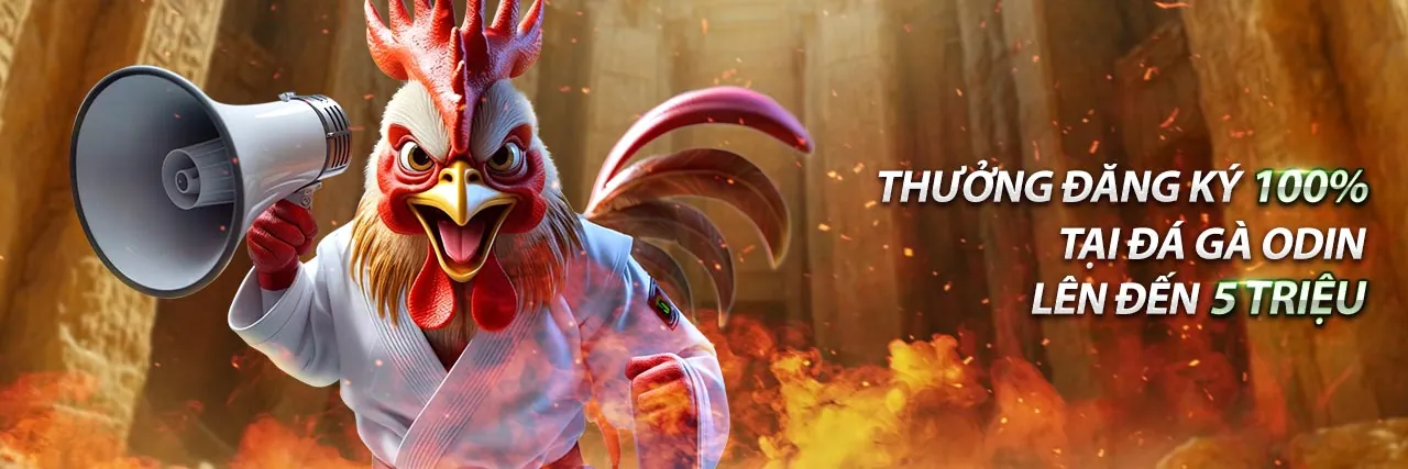 Hình ảnh đại diện cho Điều Khoản Dịch Vụ của 126bet trang chủ chính thức